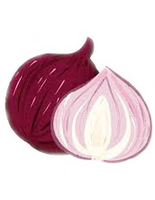image of onion